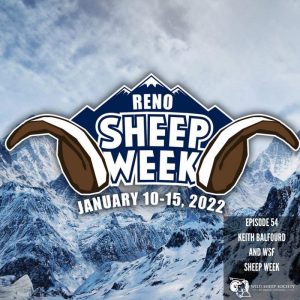 EP 54: Sheep Week with Keith Balfourd and the Wild Sheep Foundation