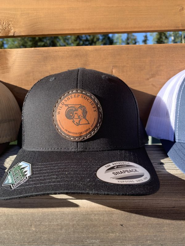 Leather Patch Trucker Hats  Wild Sheep Society of British